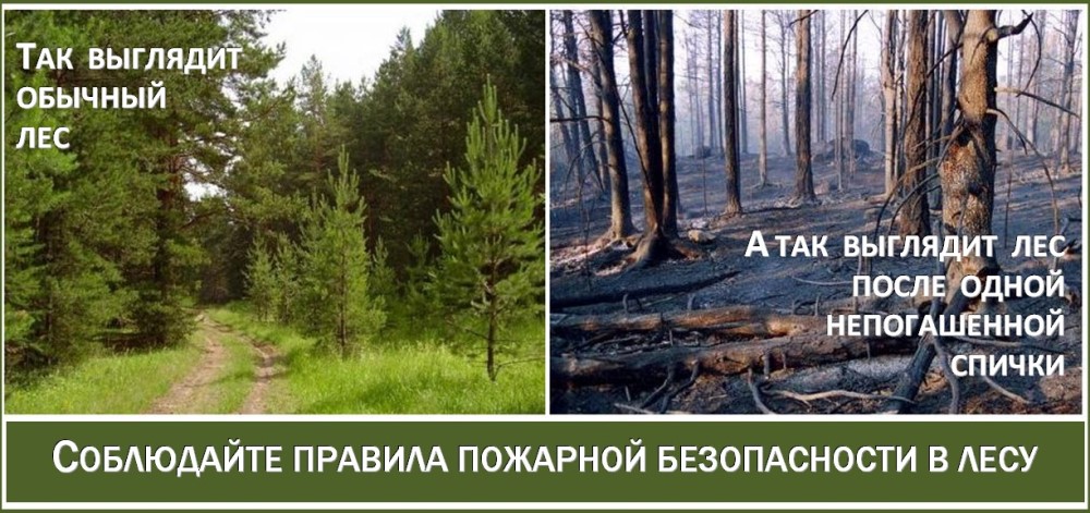 Информационные материалы по пожарной безопасности
